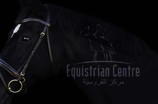 equestrian logo design, Horsemanship logo