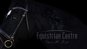 equestrian logo design, Horsemanship logo