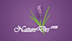 lavender logo design, flower logo