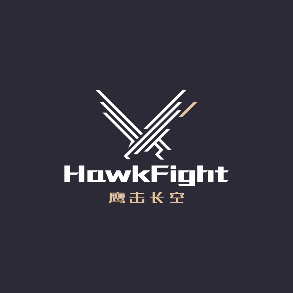 Flight academy & Drone logo design, Hawk logo, eagle logo